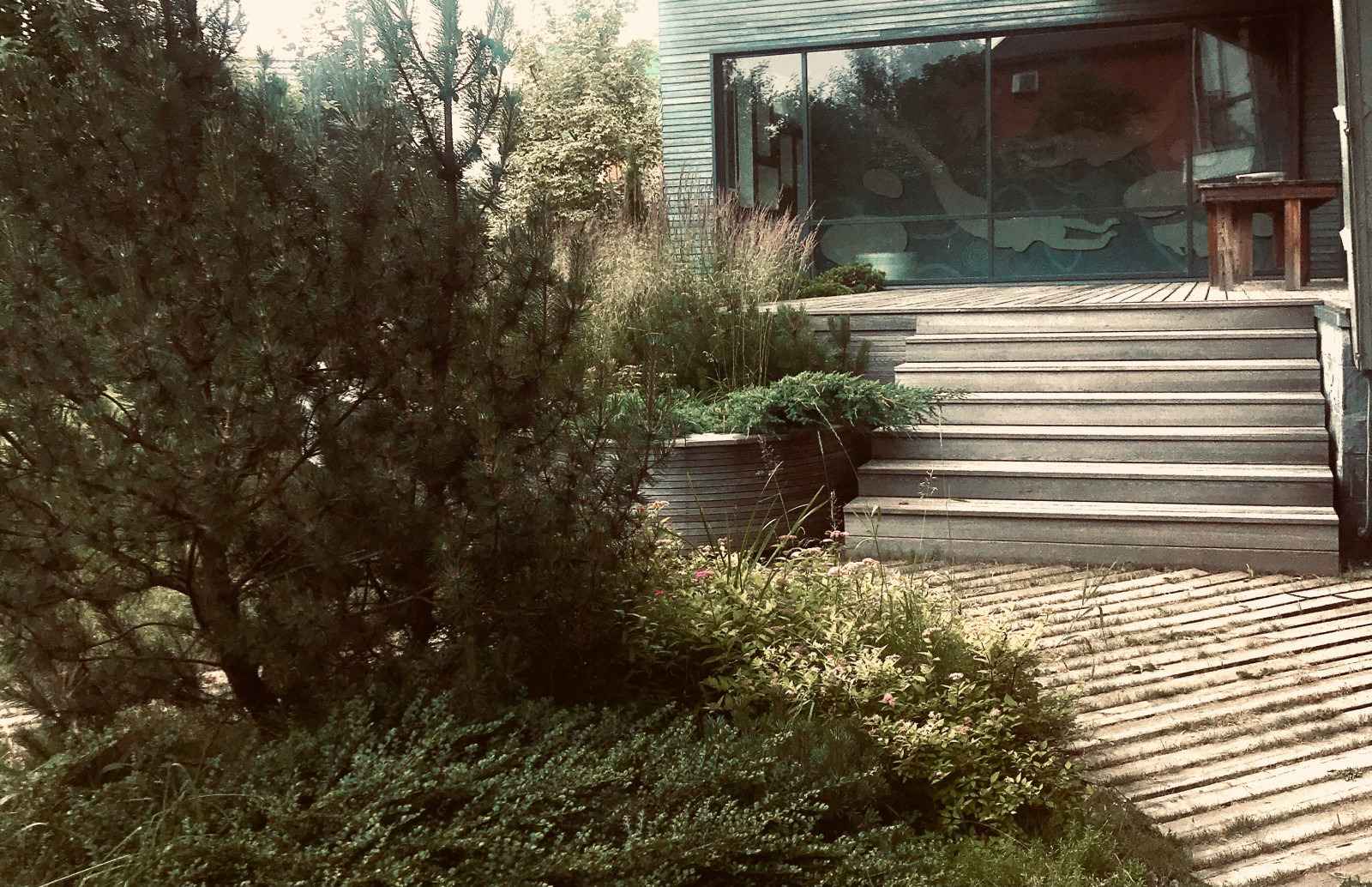 Виктория Звонилина