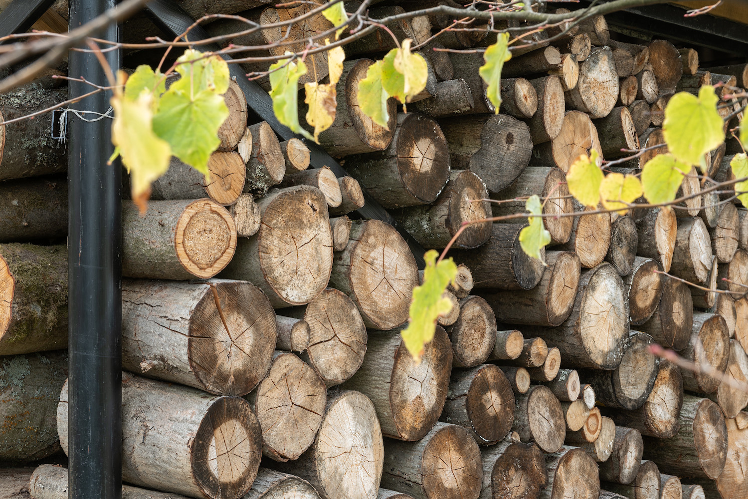 Дизайн загородного дома