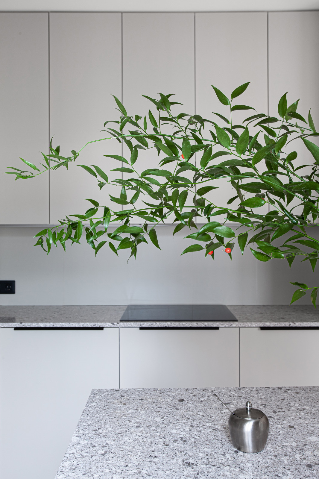 Квартира в центре Петербурга