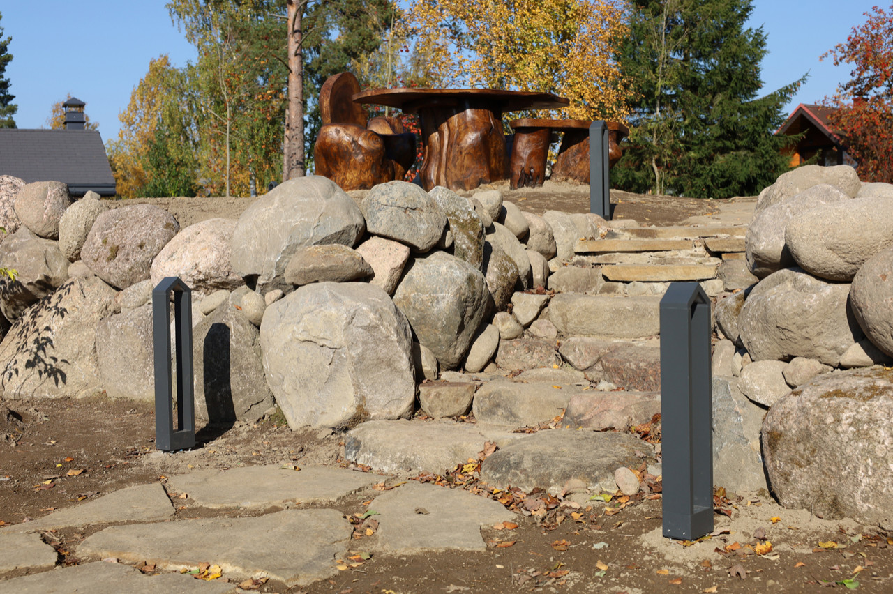 Сад для черной кошки и белого кота