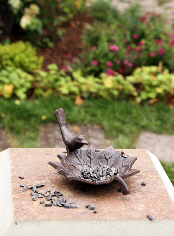 Нескучный сад