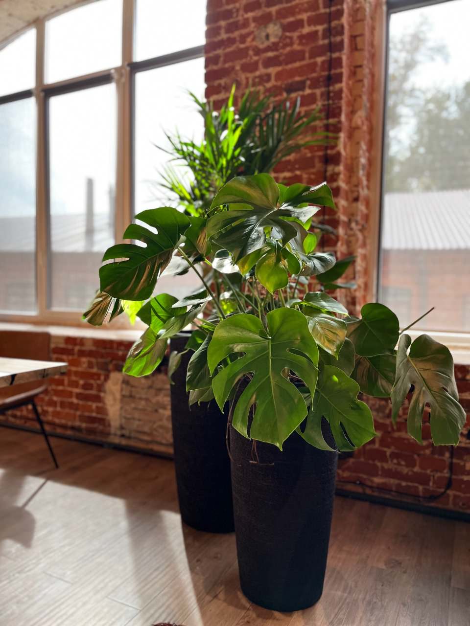 Шоурум Monncashmere