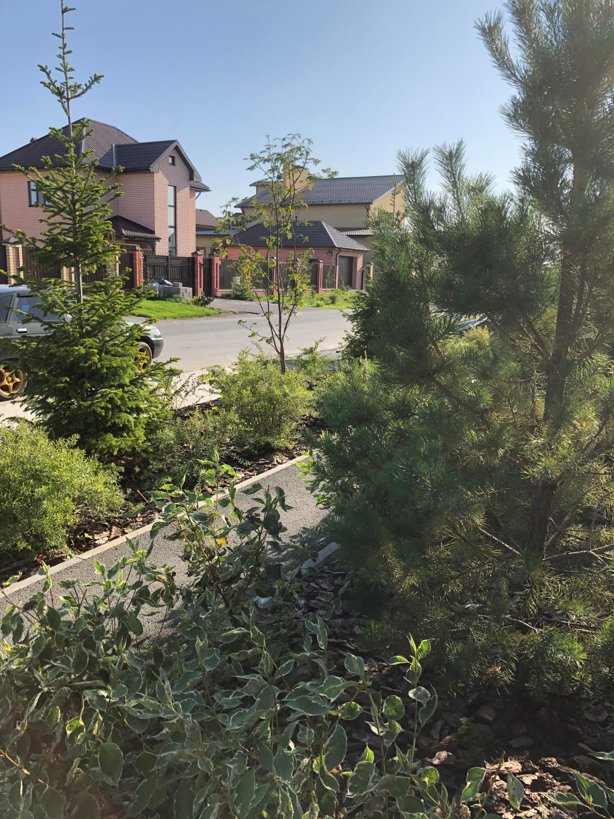 Придомовая территория