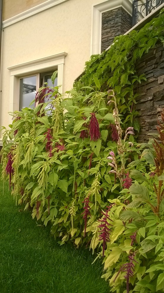 Усадьба на Новой Риге