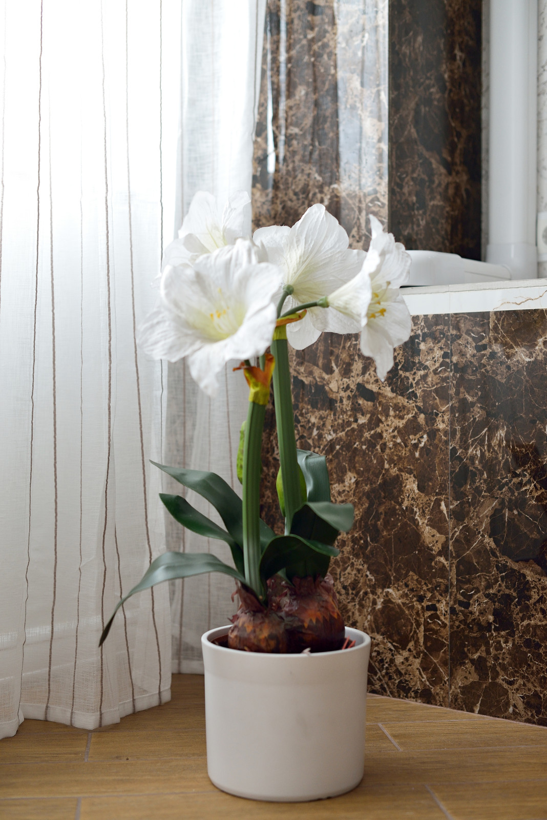 Апартаменты для сдачи в аренду