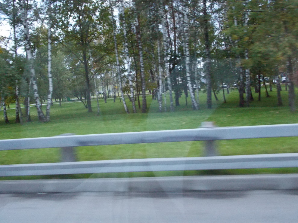 Осенние газонные травосмеси Канада Грин.