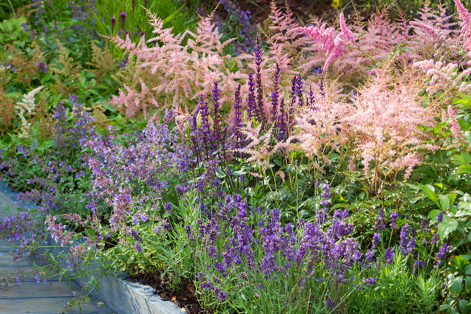 Проект недели: Сад «Декорации Метерлинка» на выставке в Москве