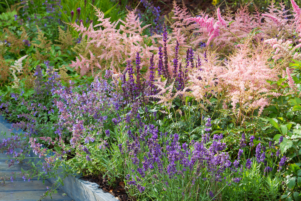 Обложка альбома: Сквер