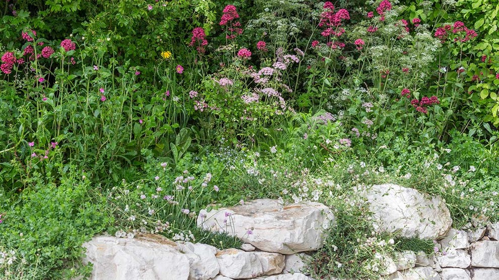 Йоркширский сад