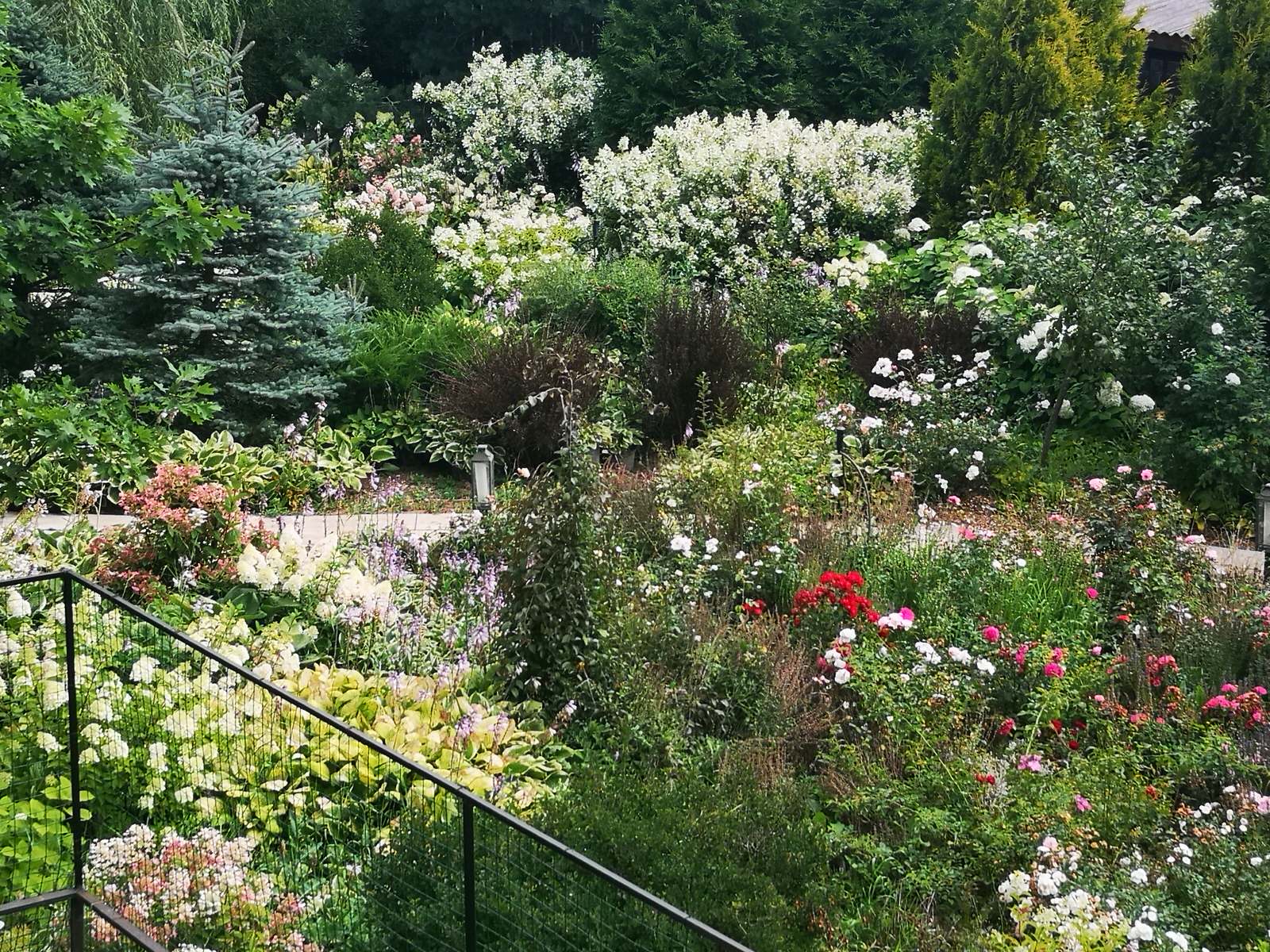 Ландшафтный дизайн участка с САДОМ ГОРТЕНЗИЙ