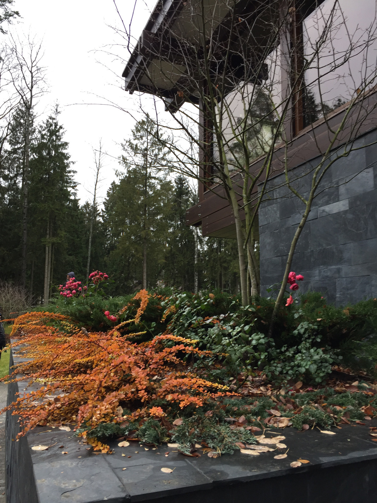 Сосновый бор