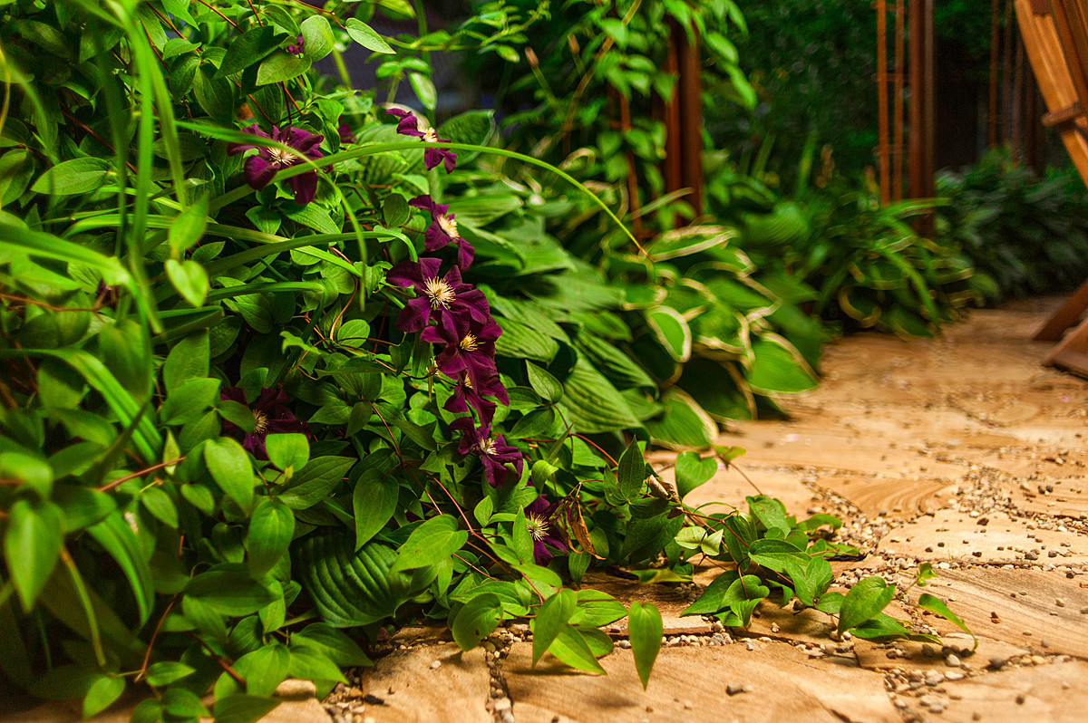 Романтический сад