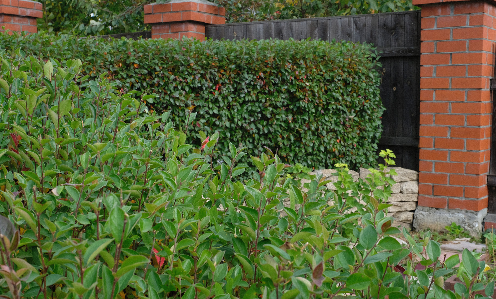 Свердловская область 15 соток