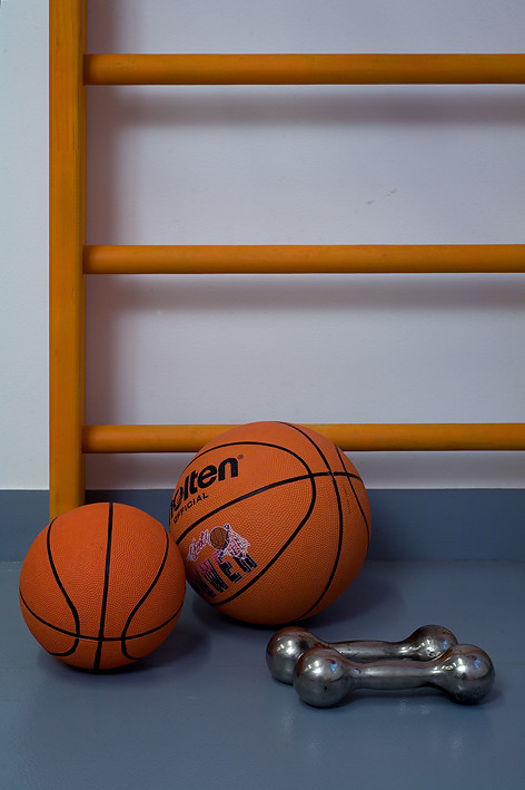 "Чердак для Чемпионов" для программы "Дачный ответ" на НТВ