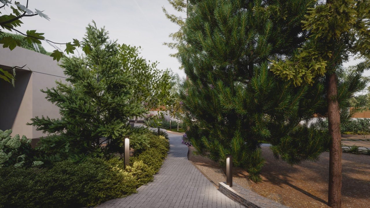 Лесная дорожка