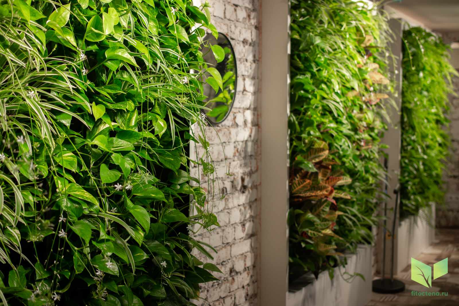 Обложка проекта: Вертикальное озеленение: рестораны и общественные места