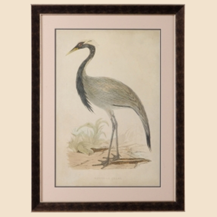 Обложка альбома: Картины