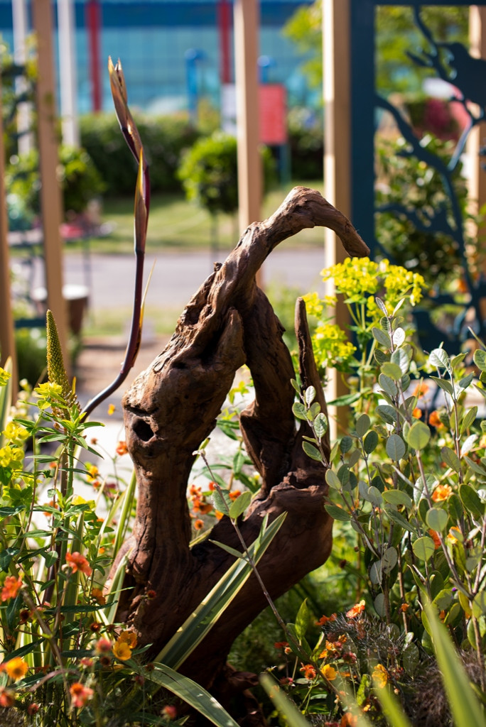 Через пень-колоду: Старые коряги в новых ролях