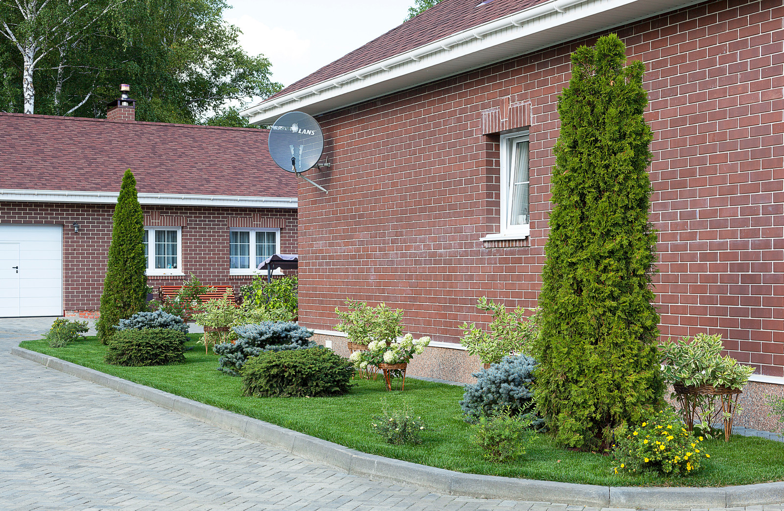 Вавиловец 1