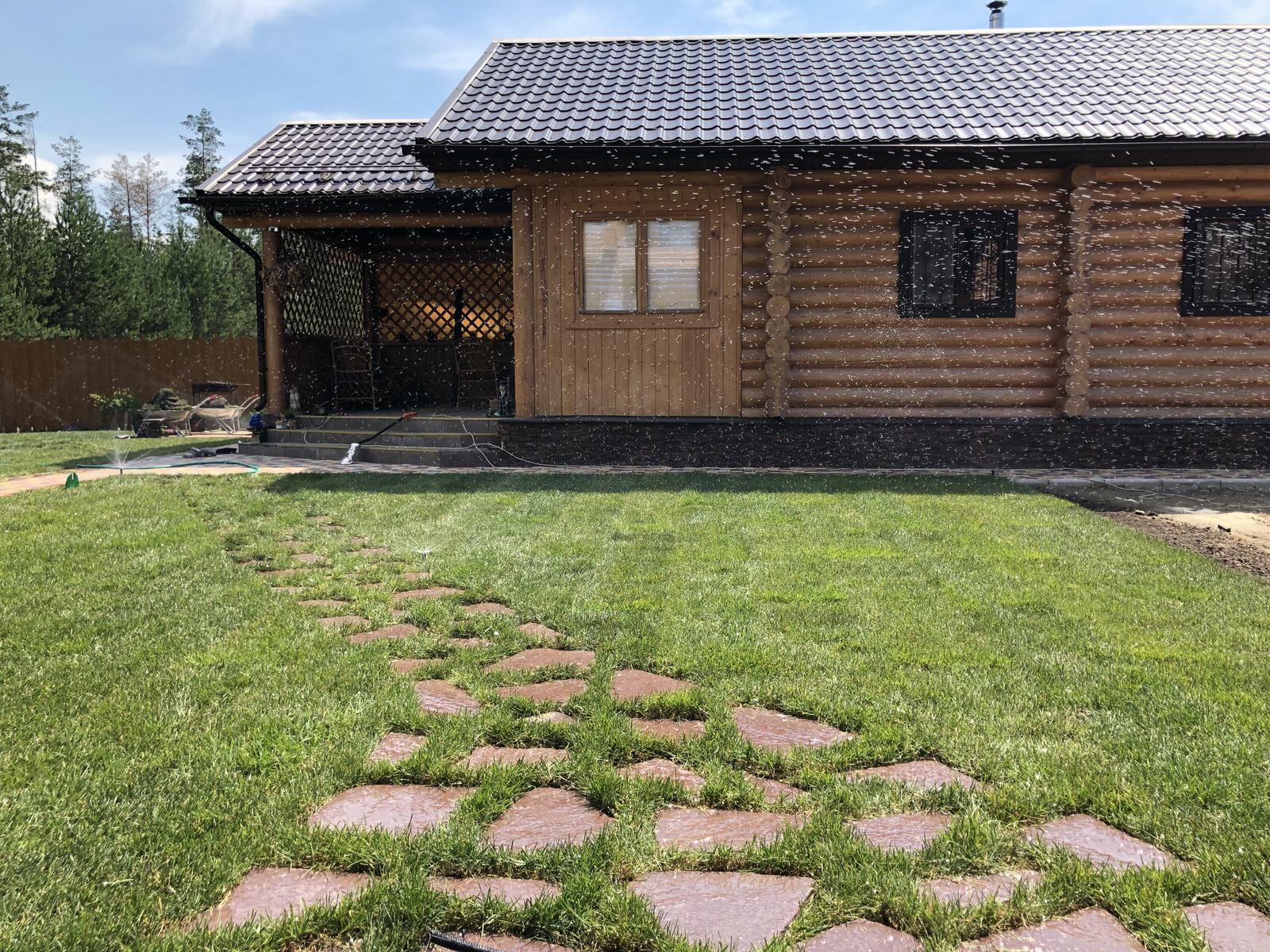 Озеленение частных участков и укладка рулонного газона