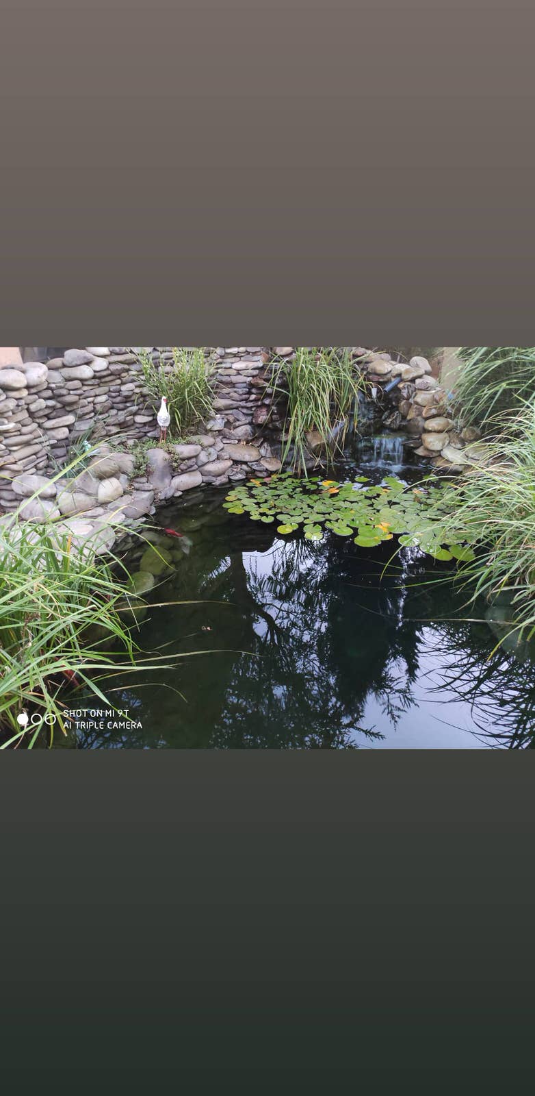 Николай Читак