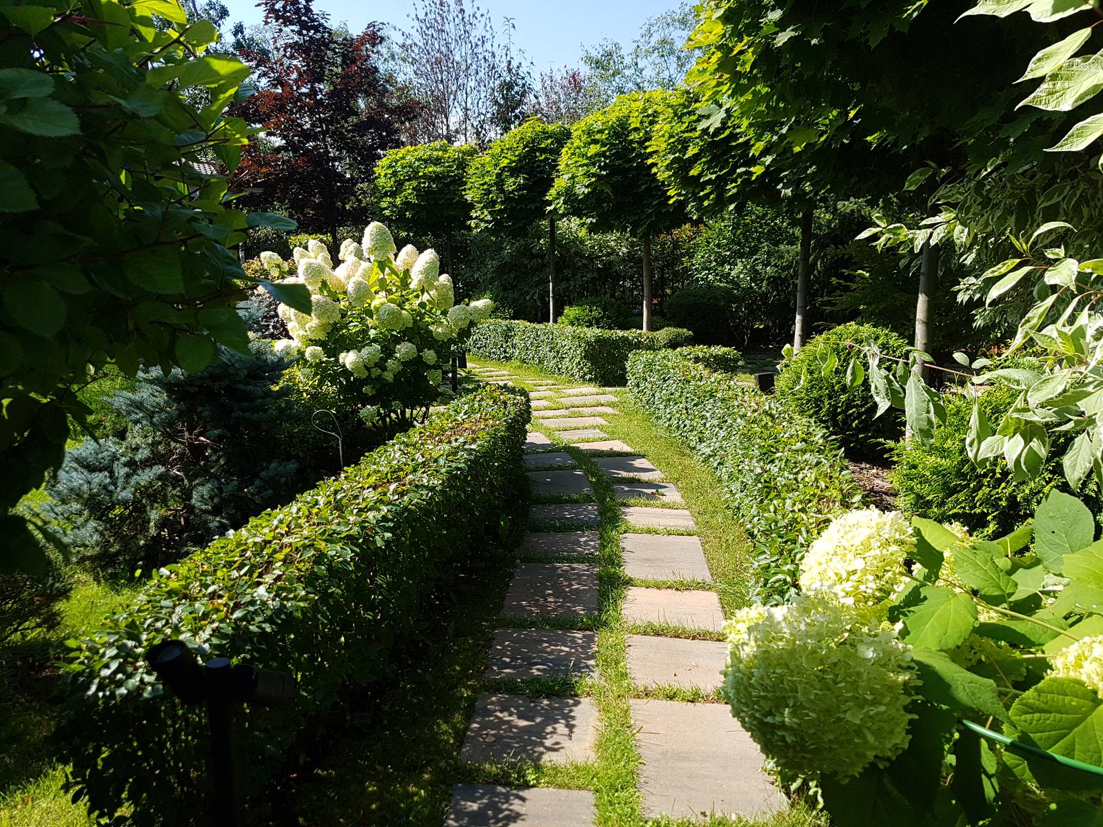 Летово Парк