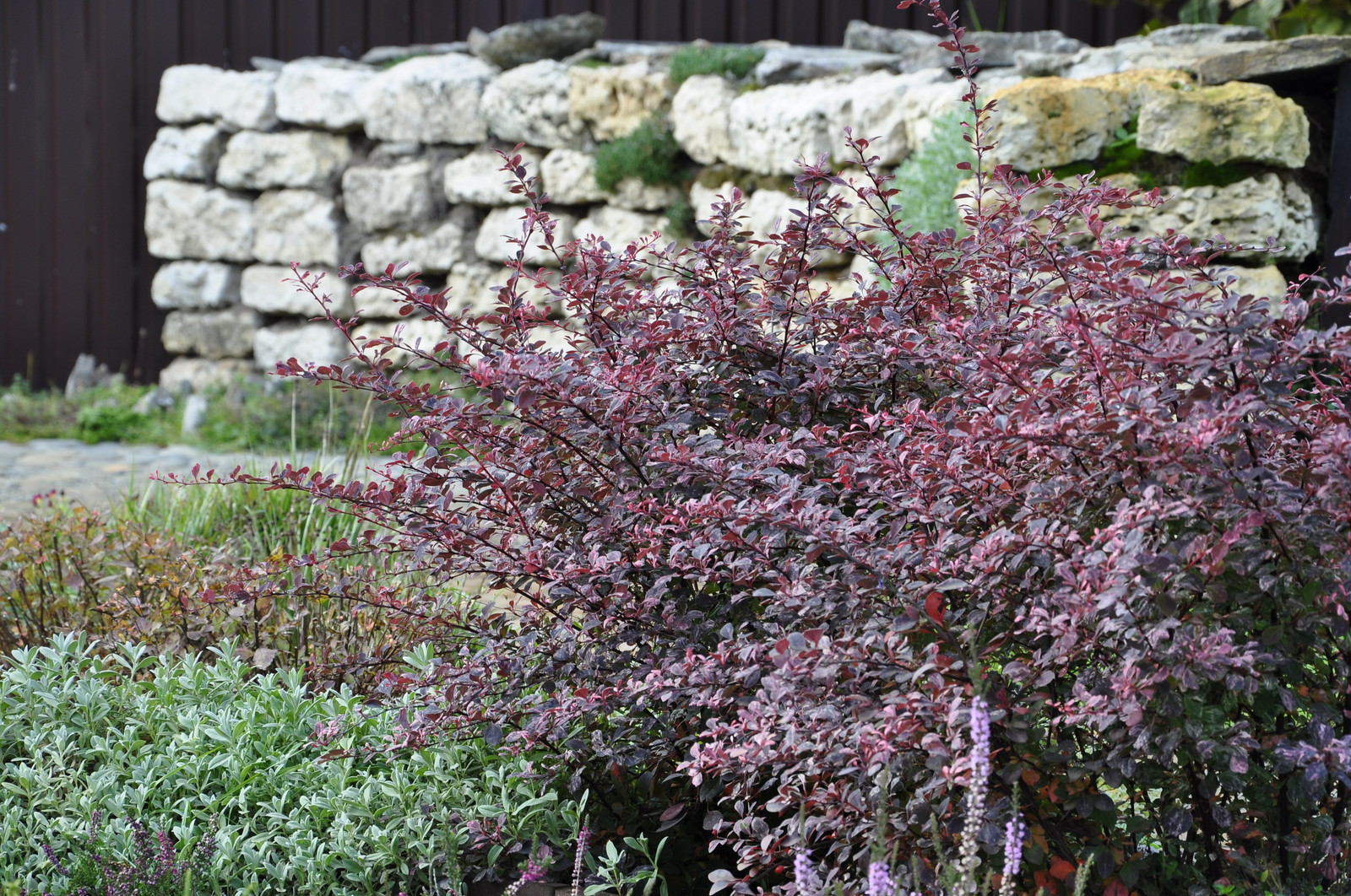 д. Коровино - Уход за садом - 100% качество