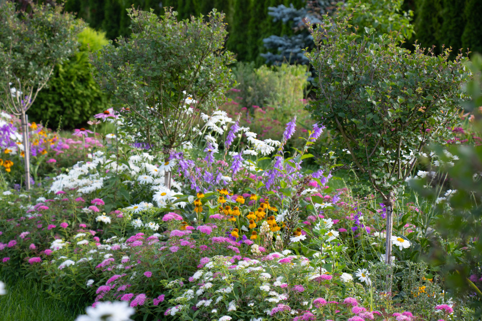 Сосновые берега