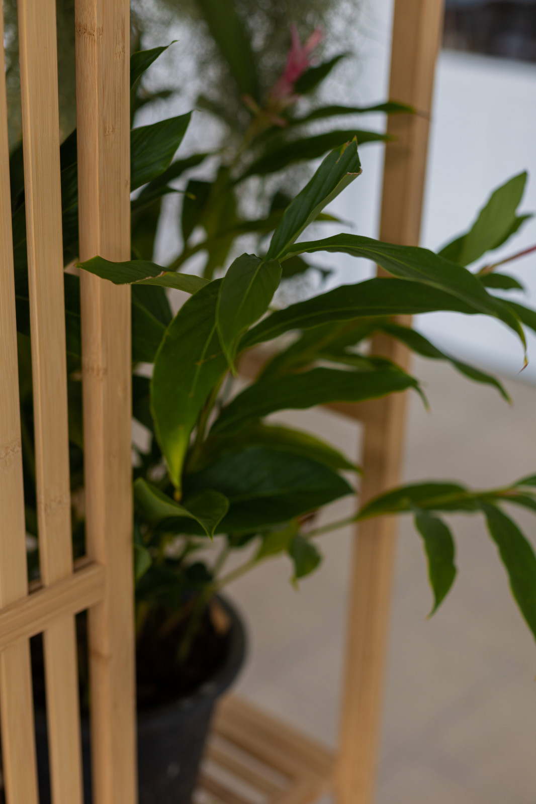 Ресторан при отеле