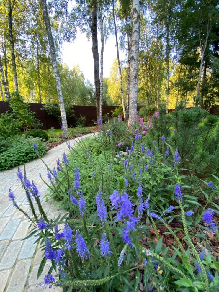 Участок для Ольги