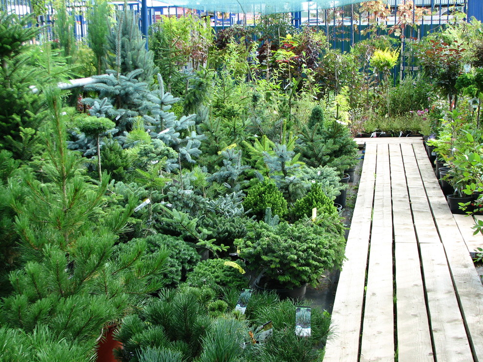 Наша продукция