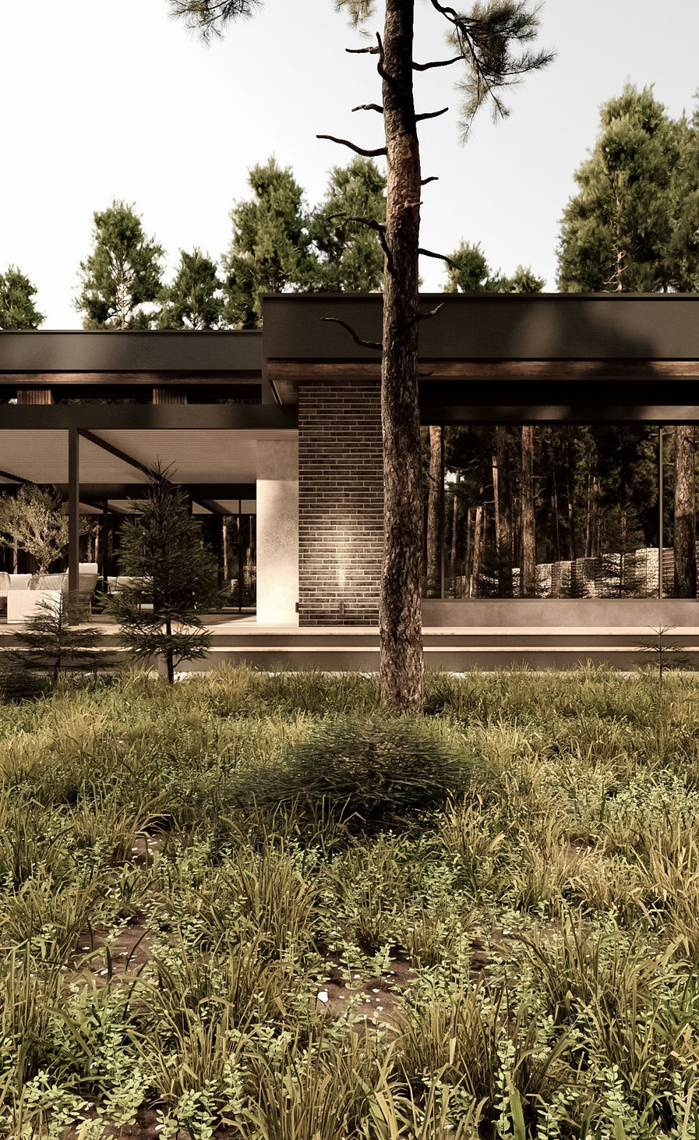 Фасады частного дома в Санкт-Петербурге