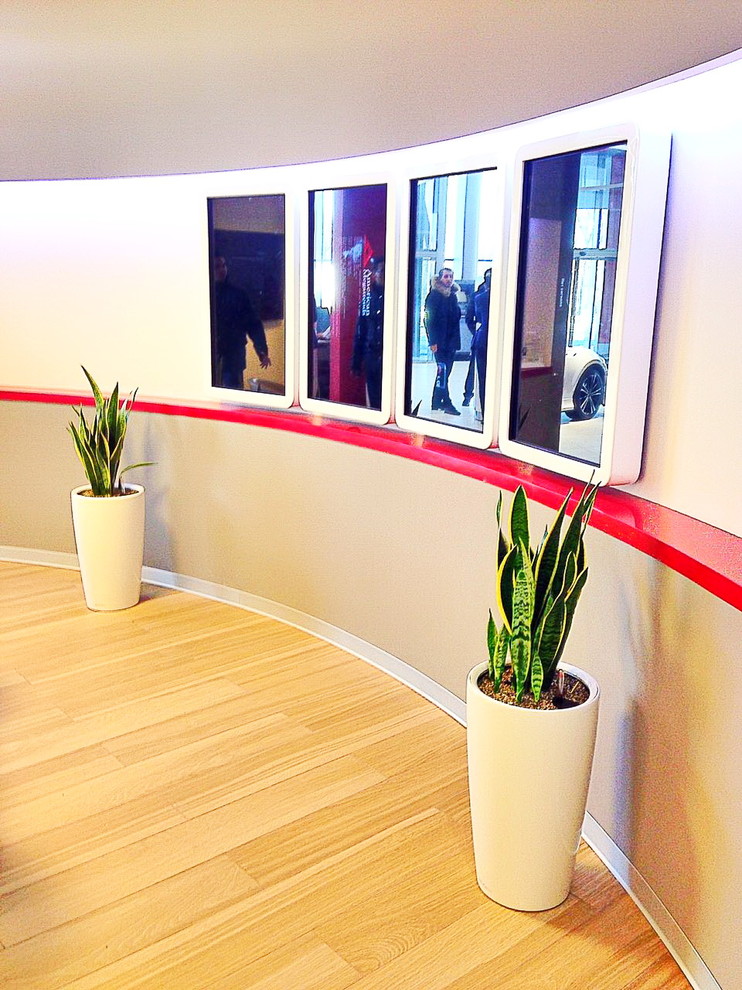 Озеленение автосалона Тойота Владивосток