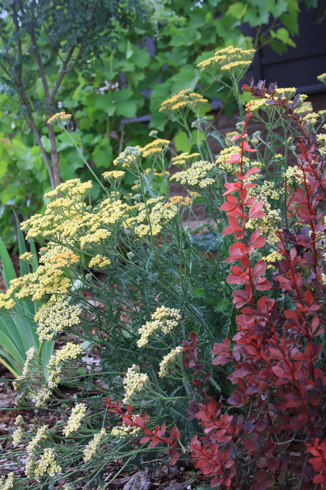 Истринские дачи