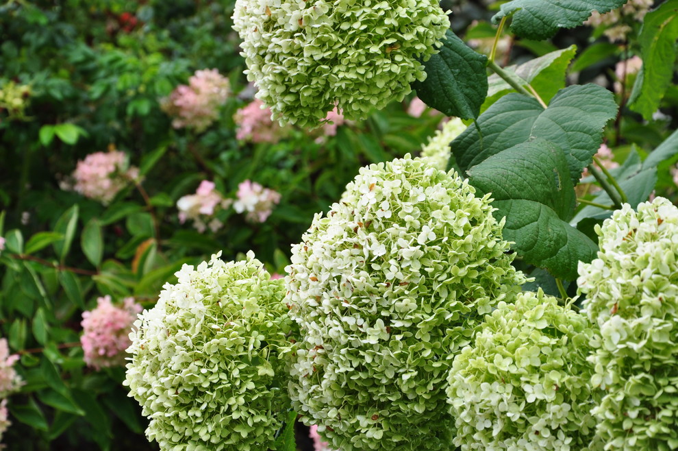 кп "Мелоди" - Уход за садом - 100% качество