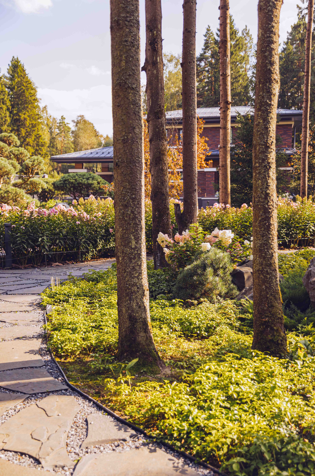 Архитектурное Решение в Пейзажном Стиле