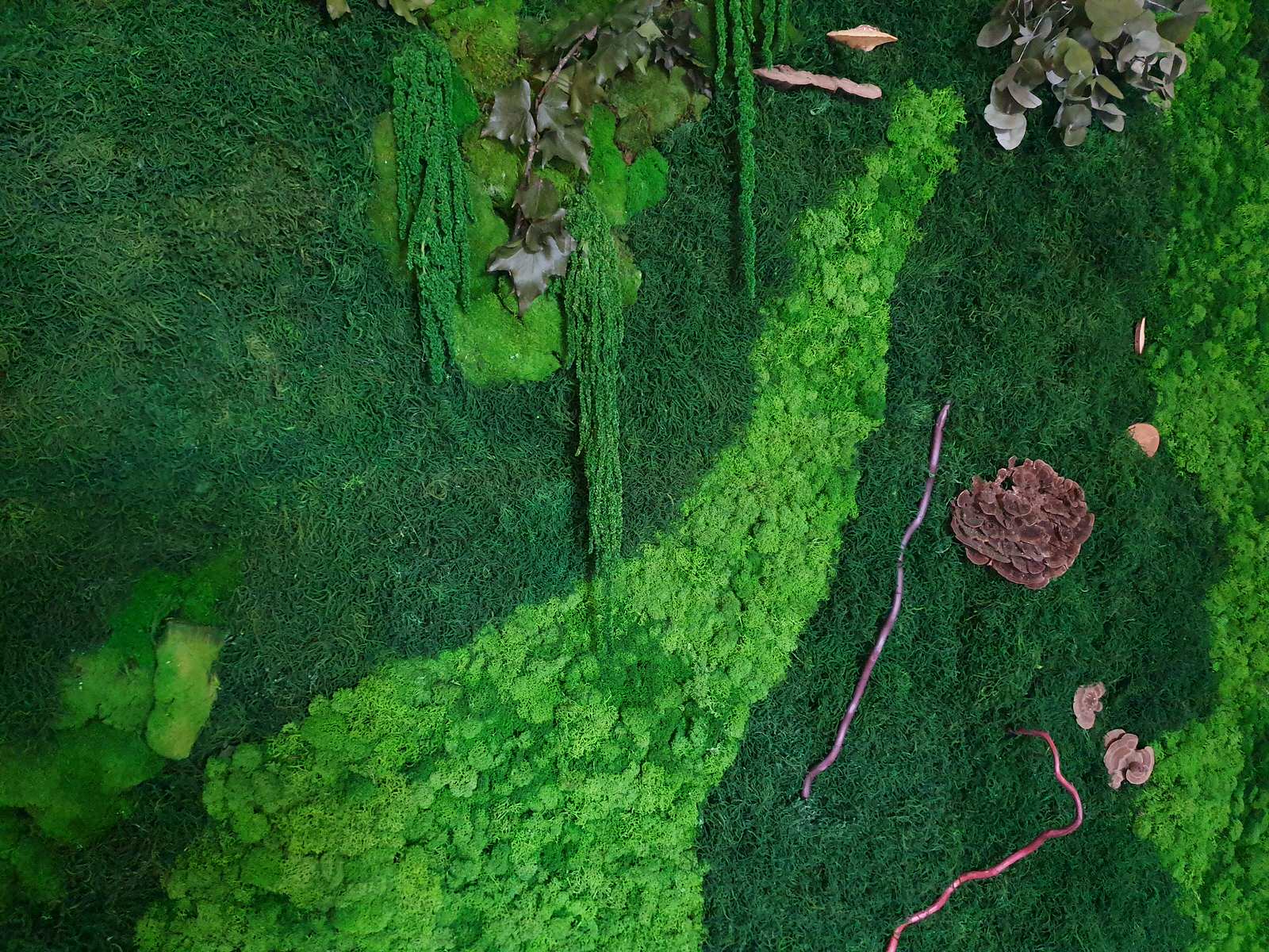 Обложка проекта: Озеленение зала для ВИП-клиентов