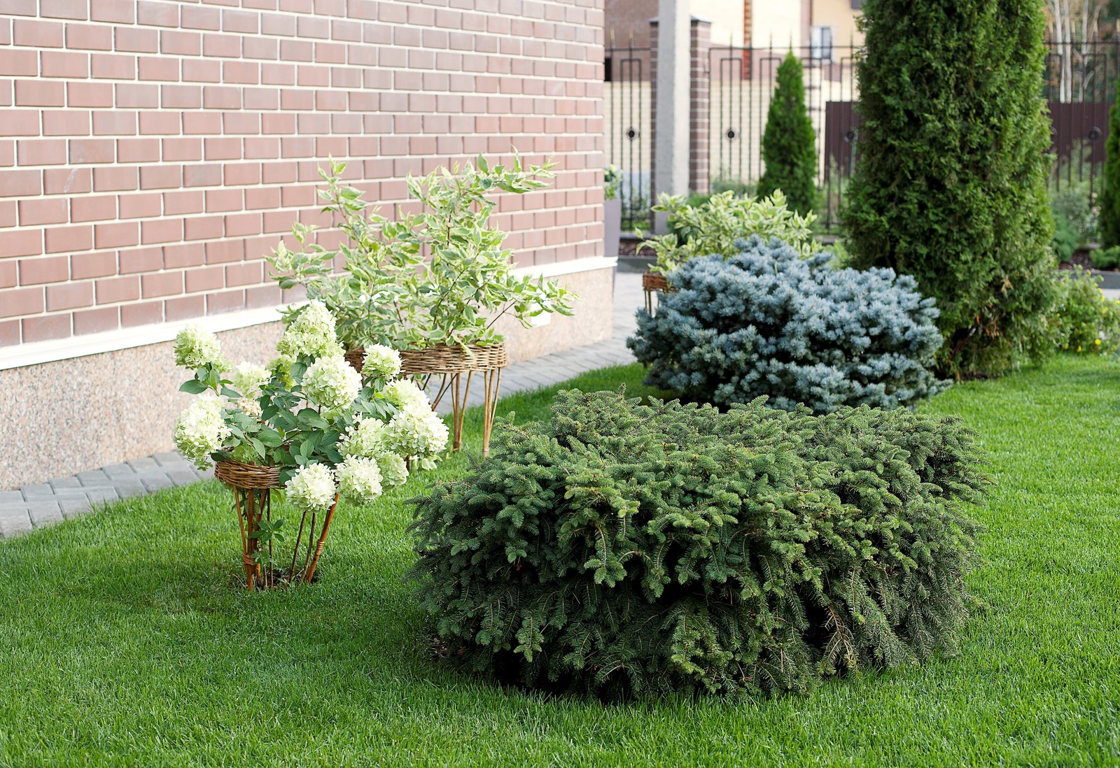 Вавиловец 1