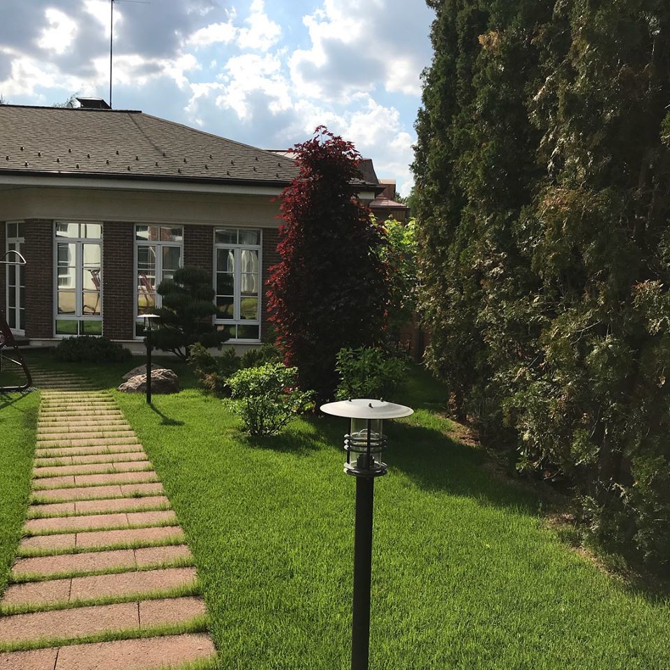 лесная рапсодия