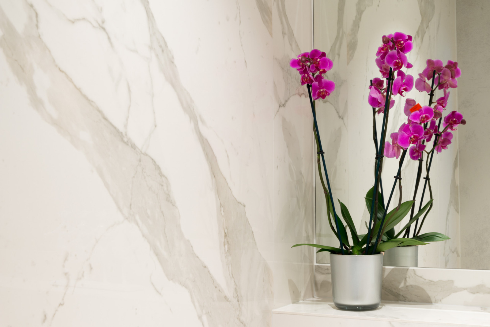 Видовая квартира, S - 154м