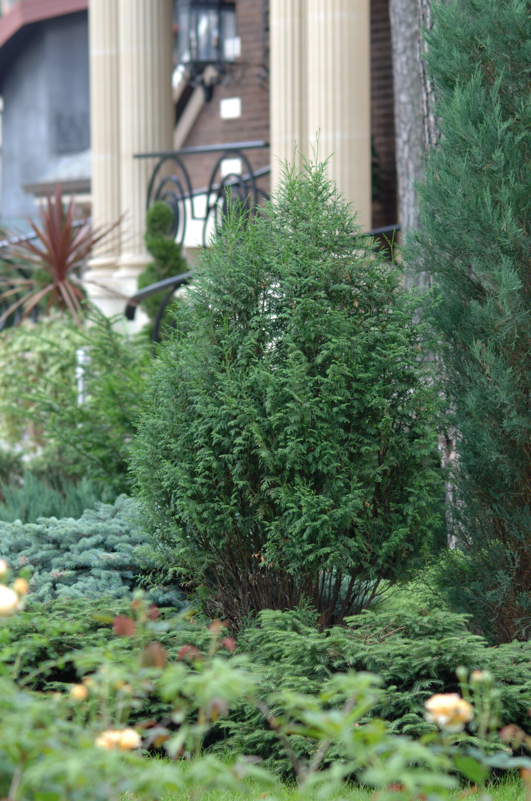 Обложка проекта: Горки-2