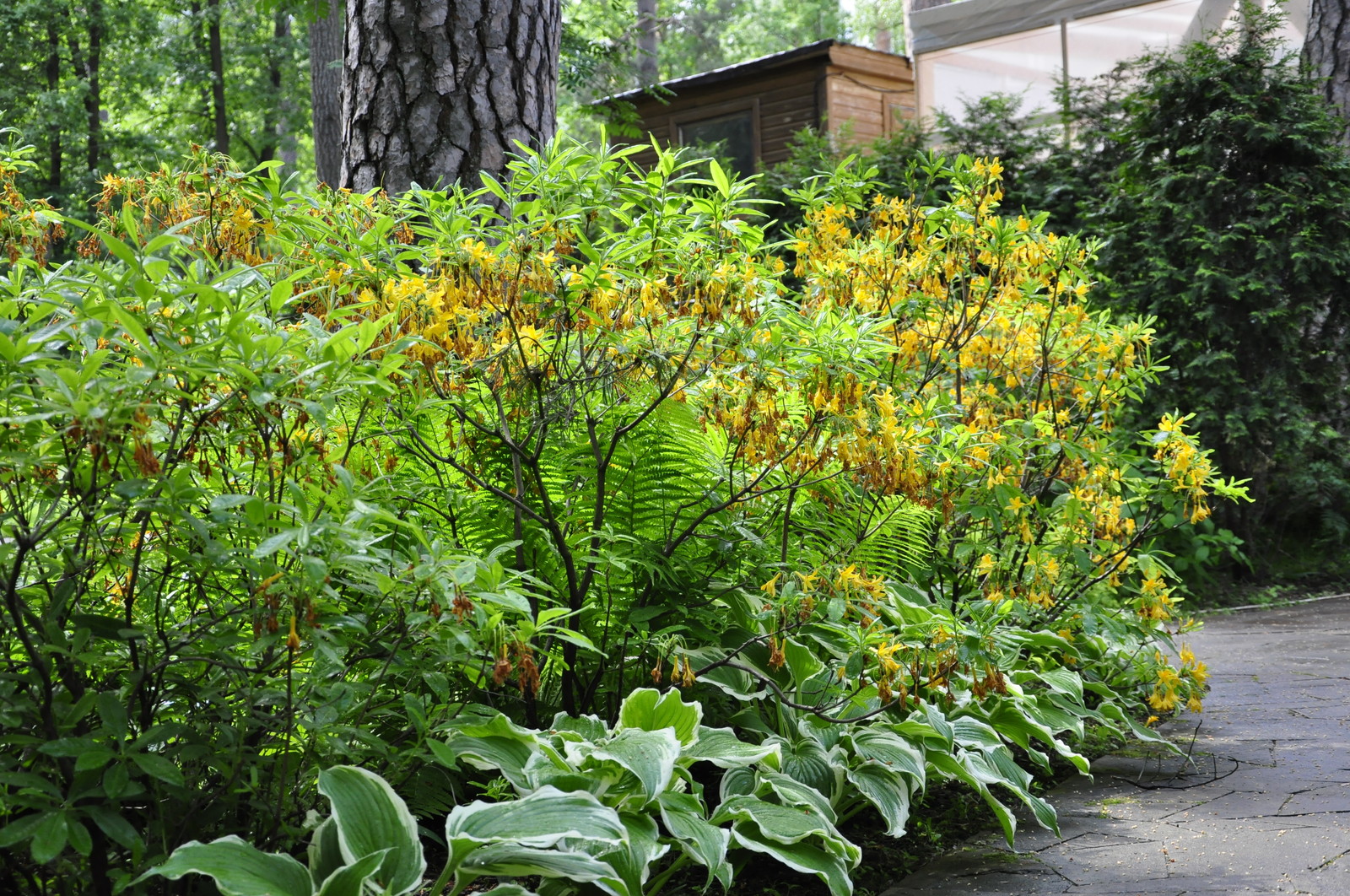 кп. "Архангельское" - Уход за садом - 100% качество!