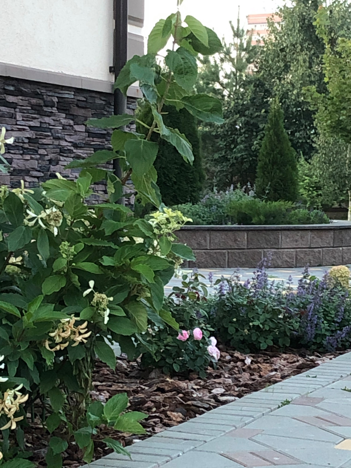 Волны и круг