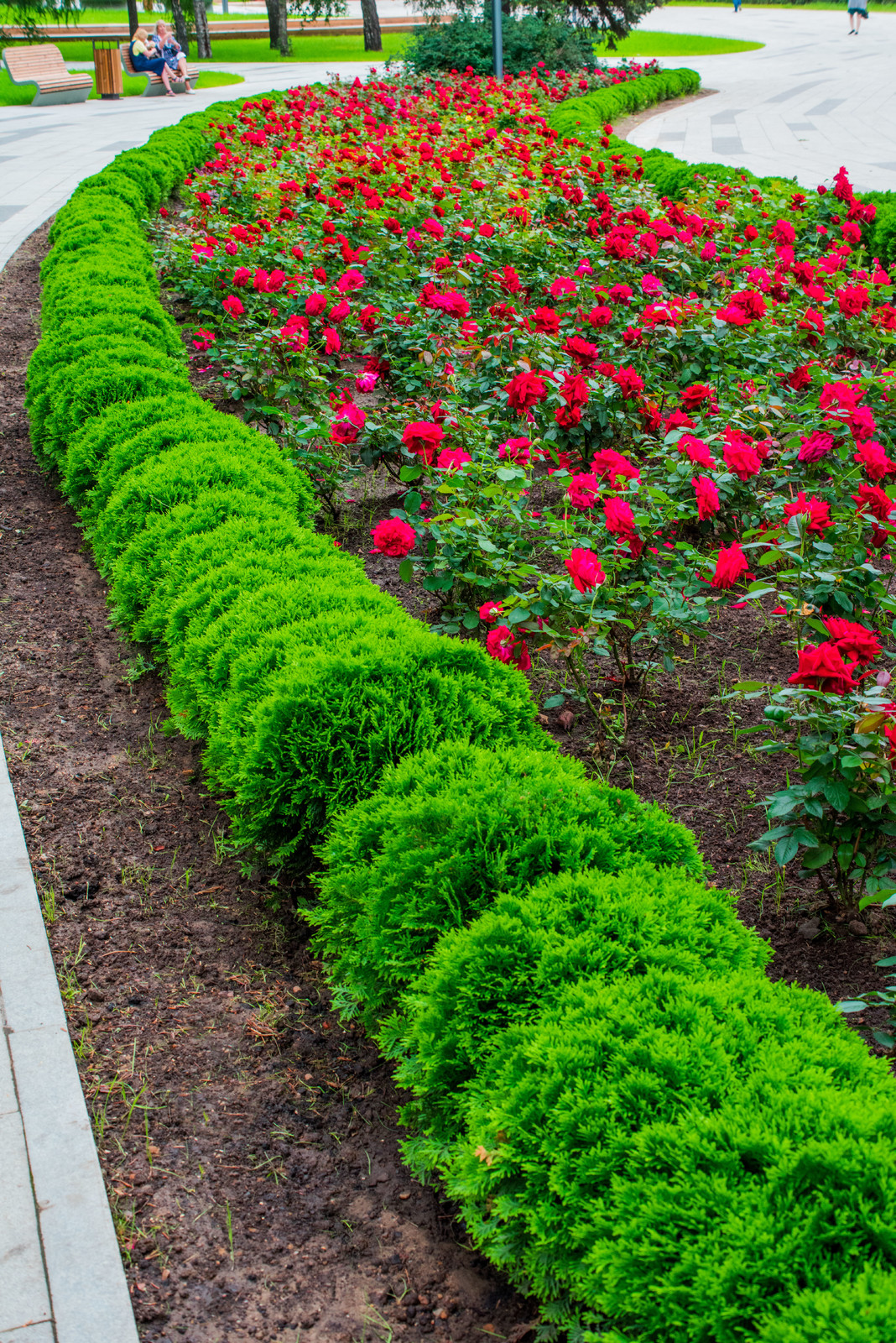 ЛАНДШАФТНЫЙ ПАРК ВДНХ Г.МОСКВА