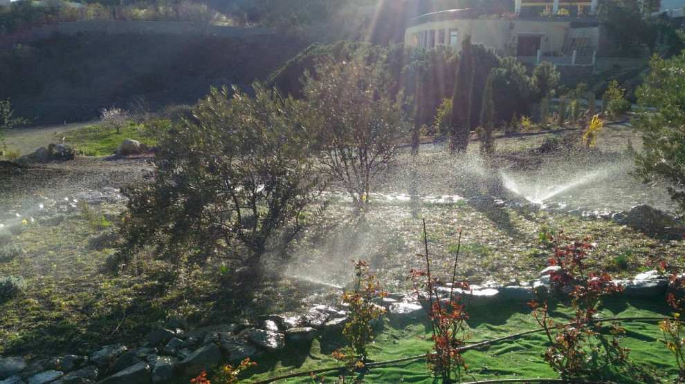 газон и полив