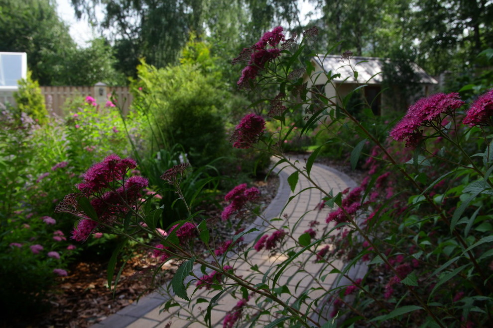 Обложка проекта: Куркино