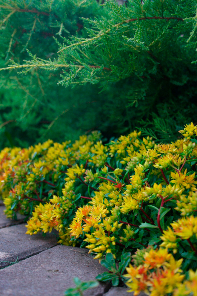 Нижегородский дворик