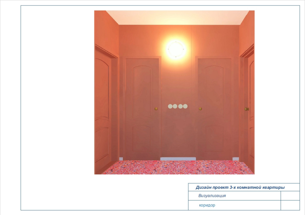 квартира , общие зоны.