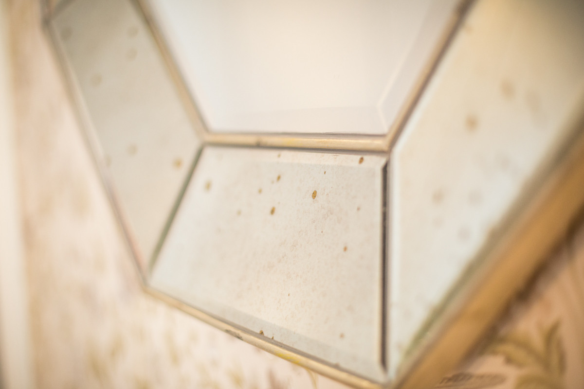 Peonies. Felt. Сoncrete.