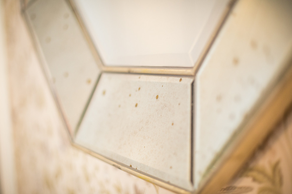 Peonies. Felt. Сoncrete.